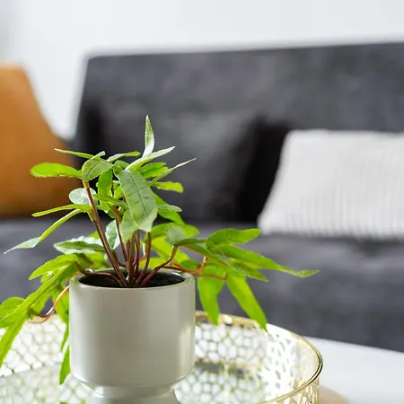 Lejlighed Luxury 2 Bedrooms App With Terrace In Center Old Town *