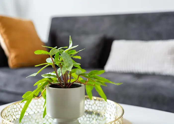 Διαμέρισμα Luxury 2 Bedrooms App With Terrace In Center Old Town *