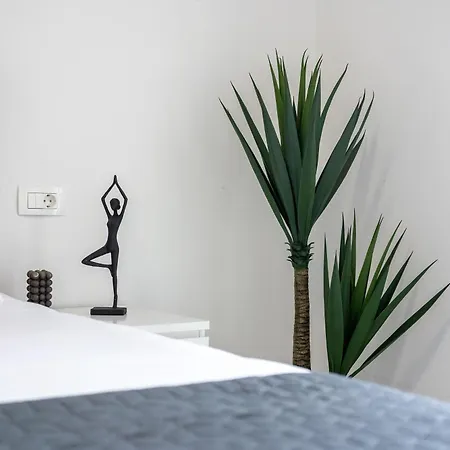 Luxury 2 Bedrooms App With Terrace In Center Old Town Apartment Split